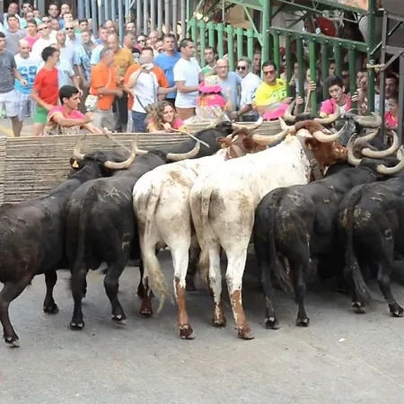 Ca La Martí Сasa de vacaciones Pedreguer