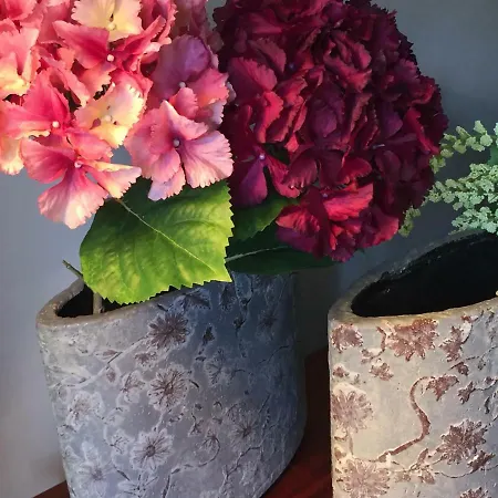 Dom wakacyjny Ca La Marti