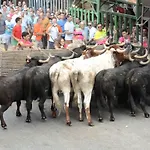 Ca La Marti Tatil Evi Pedreguer